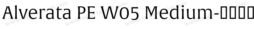 Alverata PE W05 Medium字体转换